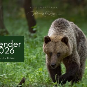 Loomade lauakalender 2026